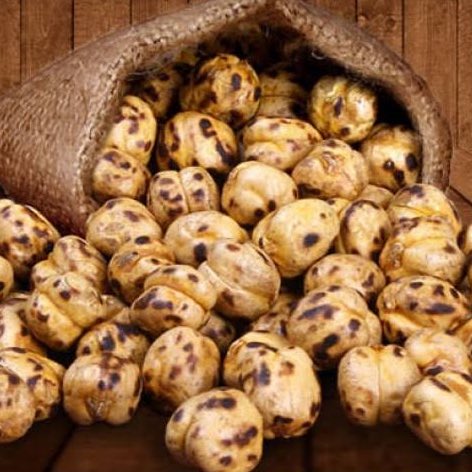 Var mı daha büyük bir orospu evladı?