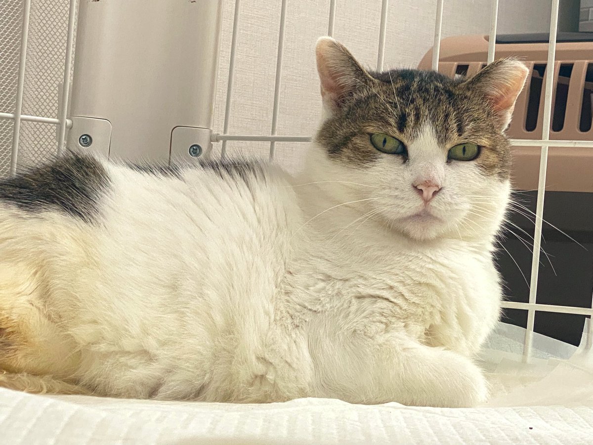 도로.
언니일하기싫어.
라고 다섯번 정도 징징거림

도로: “어쩌라고”
#가족찾는도로