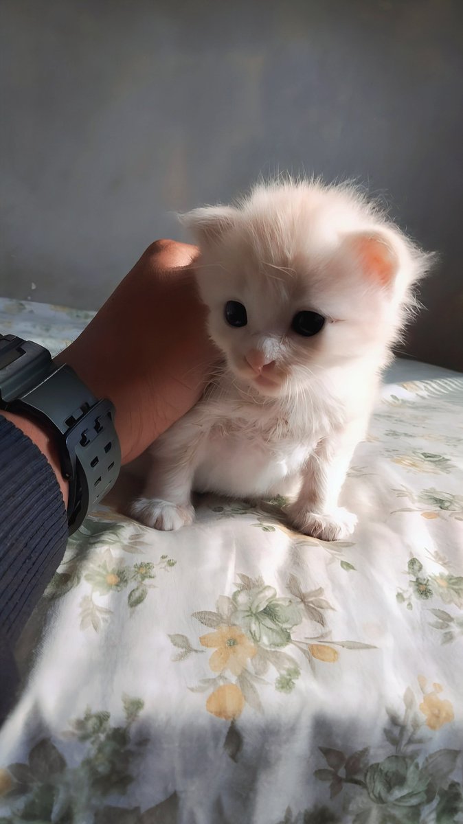 hello ✌😻