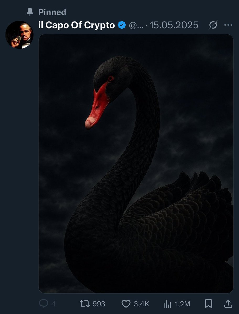 Cristian Chifoi tweet media