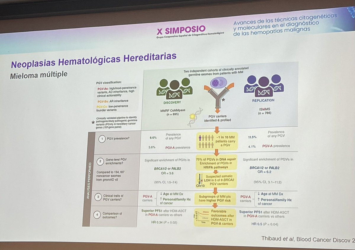 @sehh_es (@sehh_es) on Twitter photo #gcecgh José Cervera <a href="/HospitalLaFe/">HospitalLaFe</a> “Hasta un 4% de los pacientes con #mieloma múltiple podría haber heredado la enfermedad” <a href="/gcecgh/">GCECGH</a> <a href="/hmarpath/">Hospital del Mar - Pathology</a> <a href="/rocio_salgado/">Rocío Salgado</a> <a href="/bespinetHMar/">bespinet_HMar</a> <a href="/_pethema/">PETHEMA</a> #gcecgh José Cervera <a href="/HospitalLaFe/">HospitalLaFe</a> “Hasta un 4% de los pacientes con #mieloma múltiple podría haber heredado la enfermedad” <a href="/gcecgh/">GCECGH</a> <a href="/hmarpath/">Hospital del Mar - Pathology</a> <a href="/rocio_salgado/">Rocío Salgado</a> <a href="/bespinetHMar/">bespinet_HMar</a> <a href="/_pethema/">PETHEMA</a>