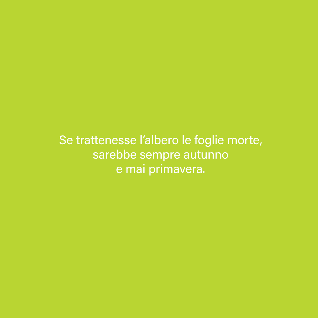 PositiveCandy's tweet image. La ragione è una mano premuta sul petto a placare il battito del nostro cuore disordinato.
🌿
N. G. Dávila
#PositiveVibes #VivaLaCampagna #SalaLettura #LeTueRagioni #VentagliDiParole #invitoAllAscolto
#scritturebrevi #poetry #poetrylovers #NatureLovers