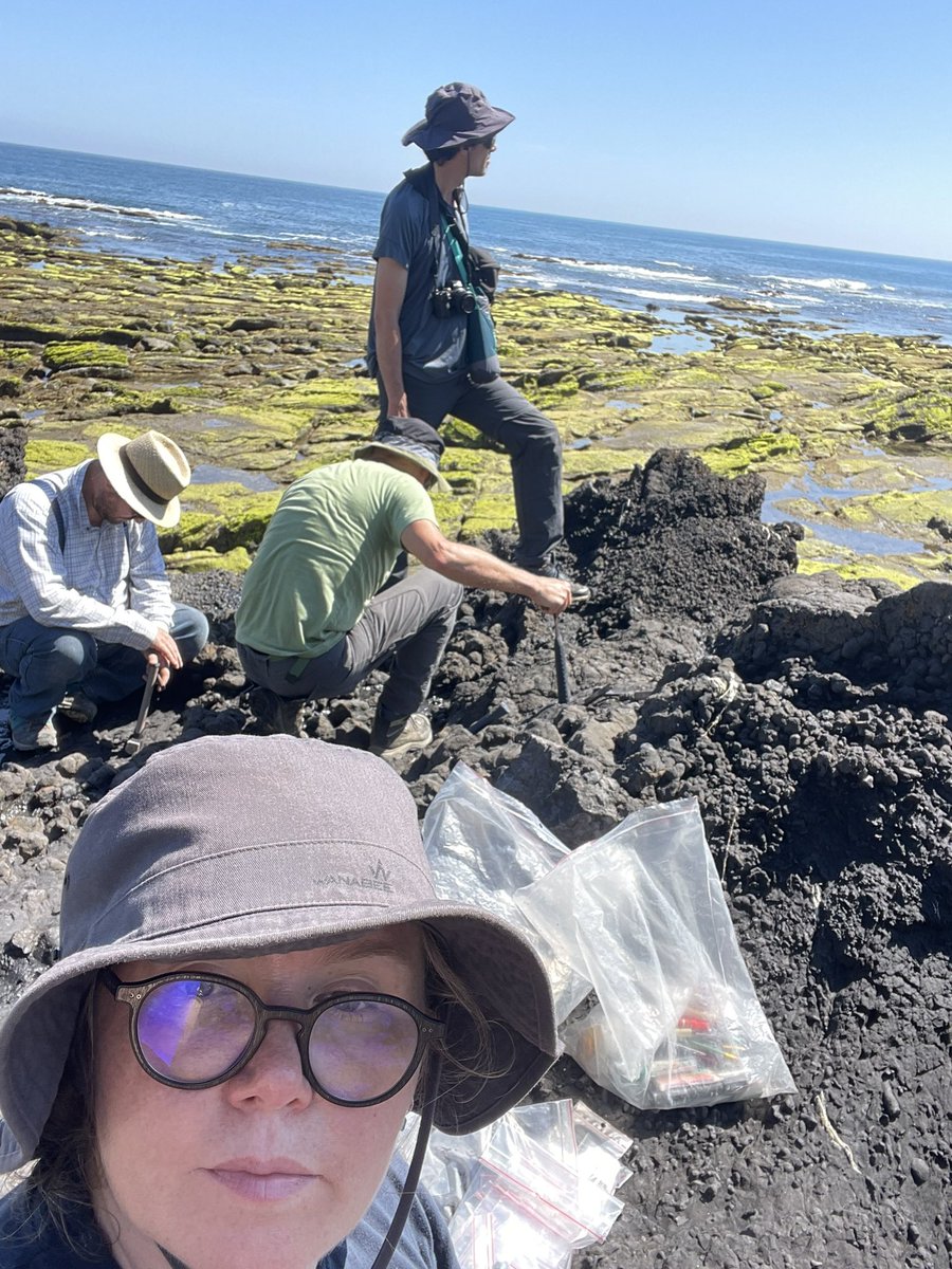 Marie-Beatrice FOREL, Ph.D., Hab. tweet media