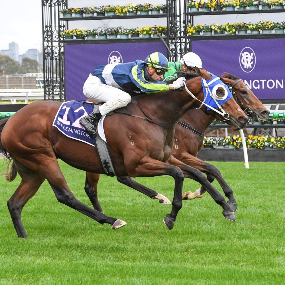 Racing SA (@racingsa) on Twitter photo The <a href="/RJollyRacing/">Richard Jolly Racing</a> team saddle up three of their best at Caulfield on Saturday! π
READ MORE | brnw.ch/21wT26U The <a href="/RJollyRacing/">Richard Jolly Racing</a> team saddle up three of their best at Caulfield on Saturday! π
READ MORE | brnw.ch/21wT26U