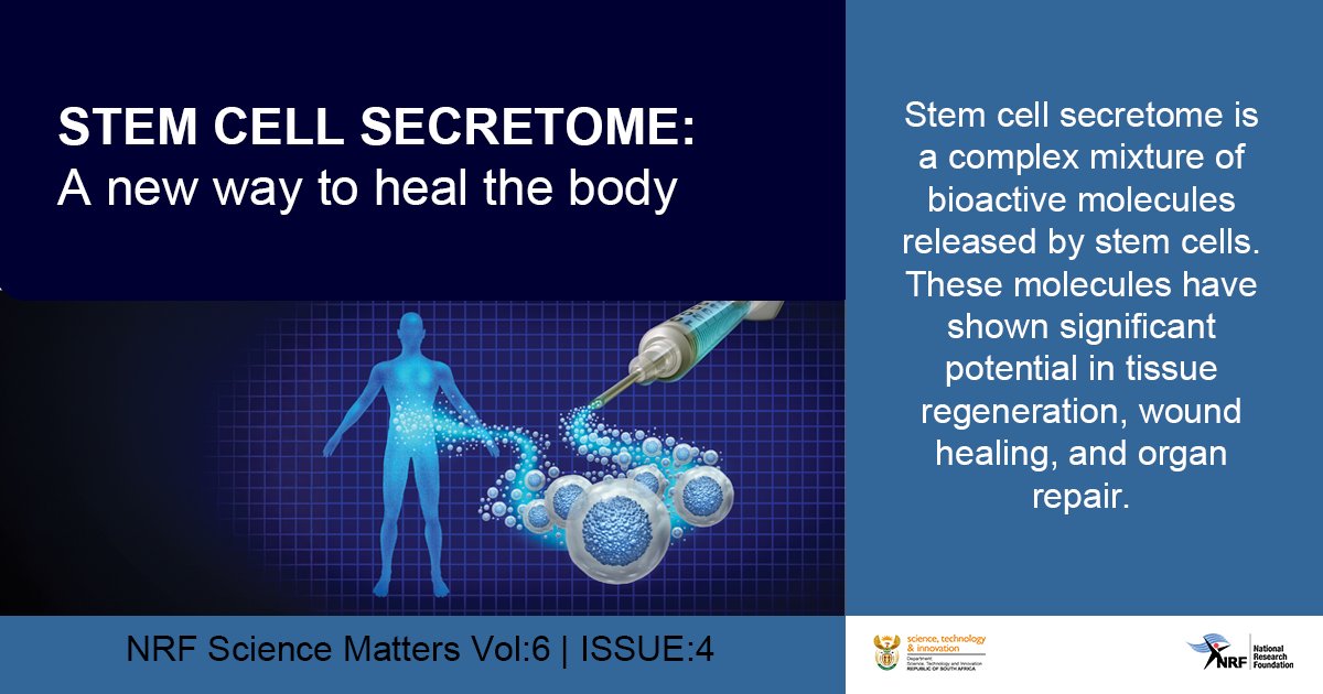 #NRFScienceMatters | The human body has an extraordinary ability to heal itself, yet in many cases, injuries and diseases surpass their natural repair mechanisms. An NRF-funded study evaluated the potential of secretome-based treatments. 

Full article: nrf.ac.za/science-matter…