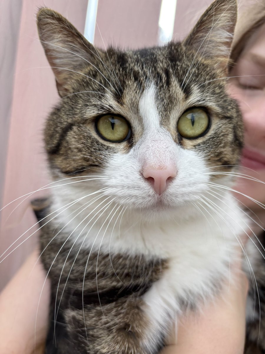 Meeeeoow! 🐈 Scrunch 😃 💝 😃 💝 😃 💝 xx love 💕 Casper 🐈 Rayer Fay x Cranberry 🦌 pie xxx enjoy your adventures 😃 xx 🥰