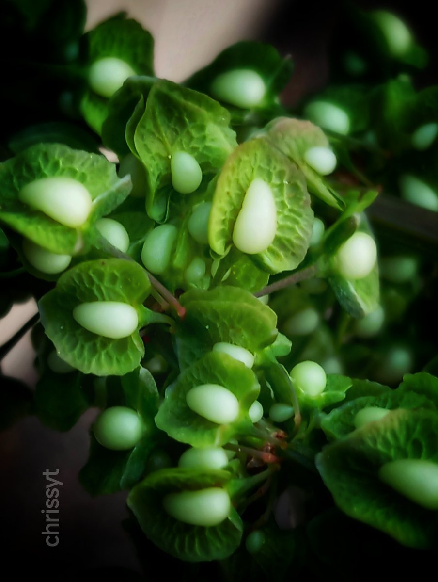 Quoi qu'il en soit, acceptez le moment présent comme si vous l'aviez choisi 
Belle journée....✨✨