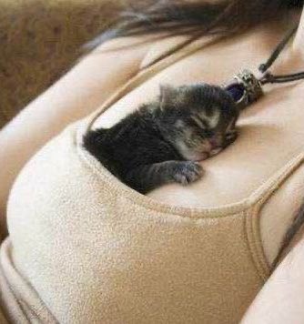 Ая (@_sunnymore) on Twitter photo 