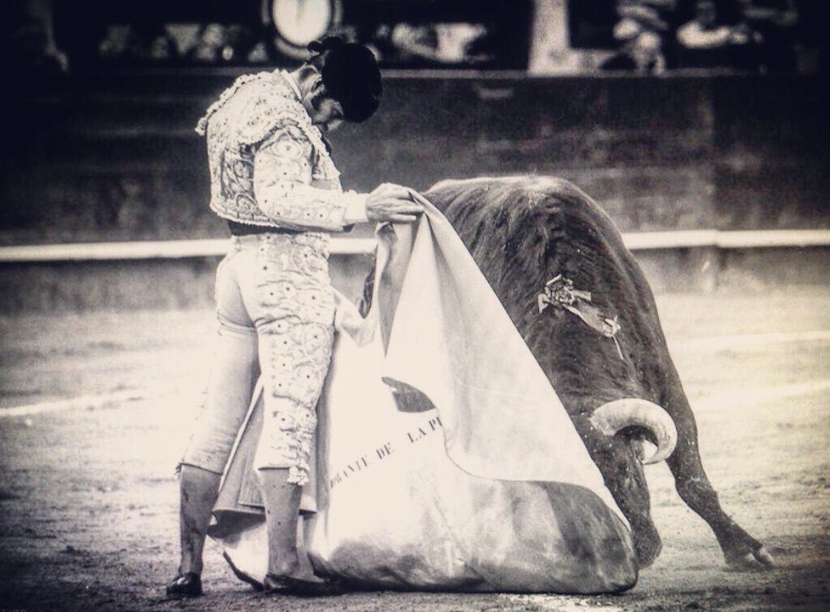 Sergio Moreno tweet media