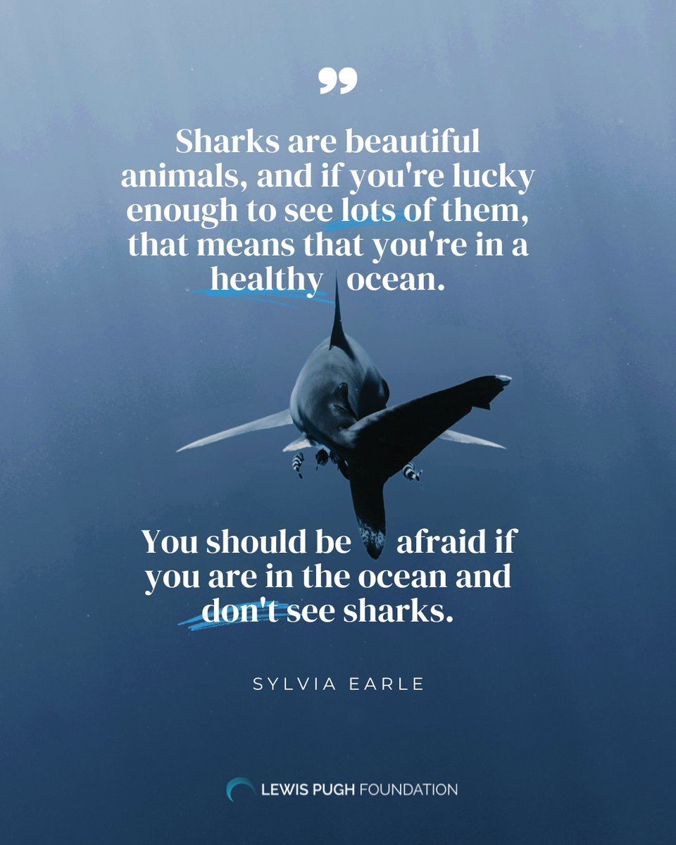 LewisPughFDN's tweet image. A powerful reminder from Sylvia Earle. 

#SharksBringLife, let’s protect them 🦈🌍💙