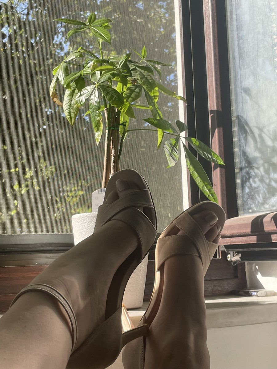 EmmaRose230's tweet photo. You are not worth them 👠☀️

 #sole #feet #footfetish #toes #freshpedicure #soleworship #paypig #feetinyourface #feeties #feetpicsforsales #softsole #findom #feetdomination #domination https://t.co/PQNRkYeh6s