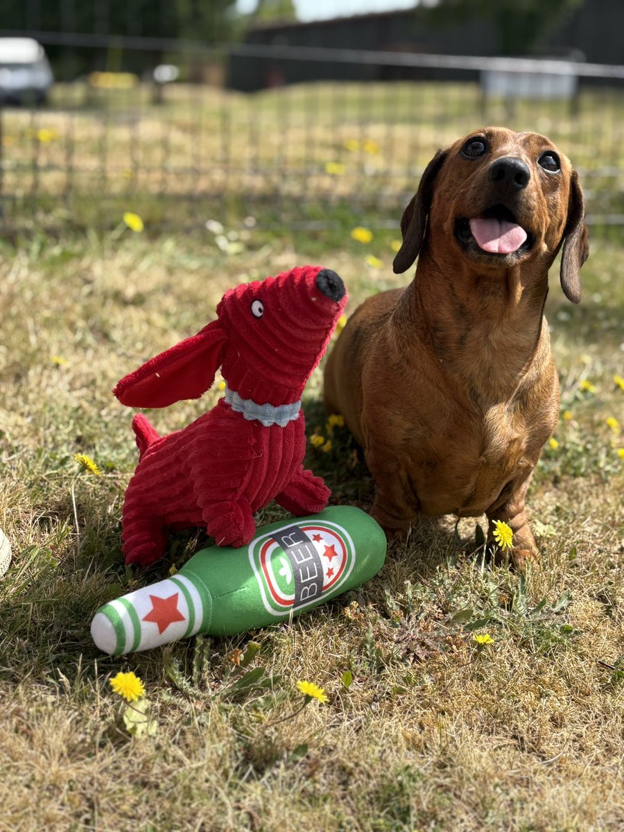 Gift Company tweet media