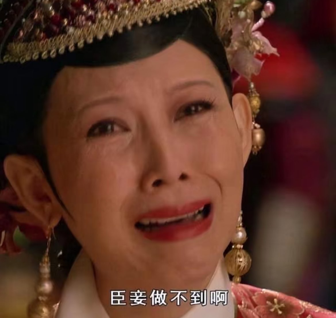 是喜欢小鱼的龙龙 tweet media