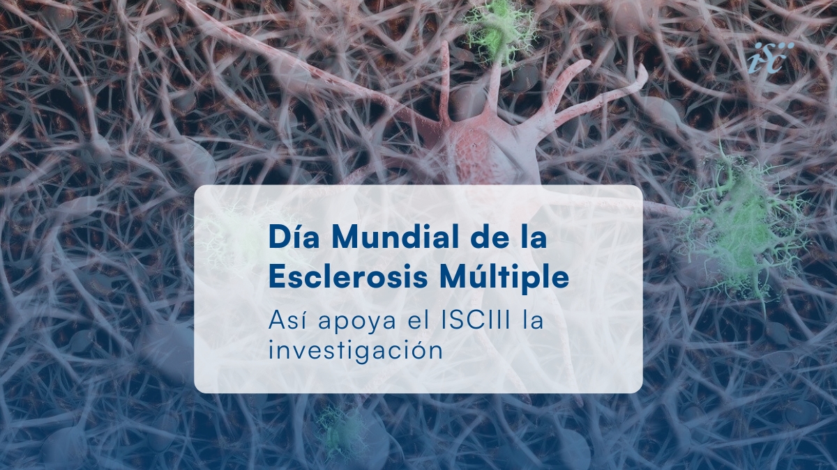 🧠 Hoy, 30 de mayo, es el #DíaMundialEsclerosisMúltiple.

Desde el #ISCIII nos sumamos para visibilizar esta enfermedad neurodegenerativa y reafirmar nuestro compromiso con:

🔬 la investigación
🧑‍⚕️ la mejora de la atención a pacientes

Te contamos cómo lo hacemos 👇