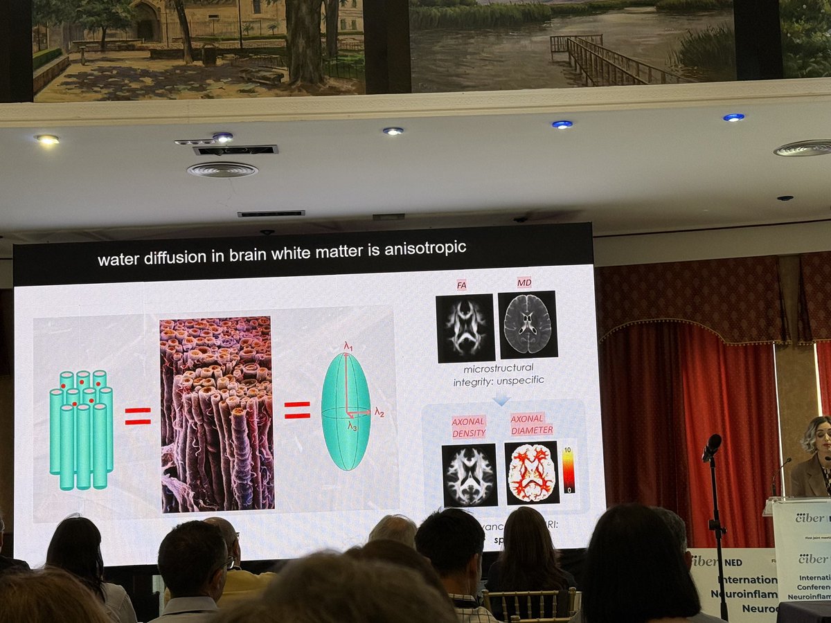 Silvia De Santis (@si_de_santis) on Twitter photo En Ciudad Real para el congreso #ciberned & #ciberfes sobre neuroinflamación, envejecimiento y neurodegeneración, intentando convencer que la neuroimagen puede aportar mucho, y escuchando algunas de las mejores investigaciones de España en el campo 🧲🔥🧠 <a href="/LabMri/">DeSantis_Lab</a> <a href="/NeuroAlc/">Instituto de Neurociencias UMH-CSIC</a> En Ciudad Real para el congreso #ciberned & #ciberfes sobre neuroinflamación, envejecimiento y neurodegeneración, intentando convencer que la neuroimagen puede aportar mucho, y escuchando algunas de las mejores investigaciones de España en el campo 🧲🔥🧠 <a href="/LabMri/">DeSantis_Lab</a> <a href="/NeuroAlc/">Instituto de Neurociencias UMH-CSIC</a>