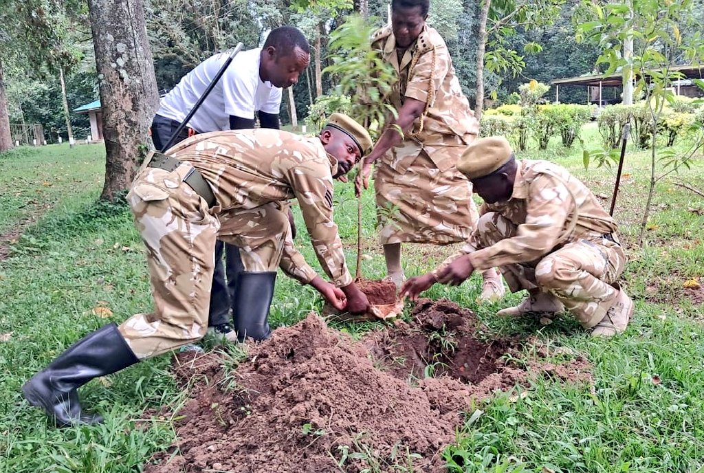 Kenya Wildlife Service (@kwskenya) on Twitter photo ๐๐๐ ๐ก๐๐ซ๐ข๐๐ข ๐๐ซ๐๐ข๐ฅ ๐๐๐ซ๐ข๐๐ฌ ๐๐ง๐๐๐ซ๐ฐ๐๐ฒ! ๐ด
Kenya Wildlife Service is thrilled to join hands with <a href="/magicalkenya/">Kenya Tourism Board</a> in the ongoing Magharibi Trail Series, a vibrant celebration of adventure and conservation in Western Kenya.
The series kicked off yesterday at ๐๐๐ ๐ก๐๐ซ๐ข๐๐ข ๐๐ซ๐๐ข๐ฅ ๐๐๐ซ๐ข๐๐ฌ ๐๐ง๐๐๐ซ๐ฐ๐๐ฒ! ๐ด
Kenya Wildlife Service is thrilled to join hands with <a href="/magicalkenya/">Kenya Tourism Board</a> in the ongoing Magharibi Trail Series, a vibrant celebration of adventure and conservation in Western Kenya.
The series kicked off yesterday at