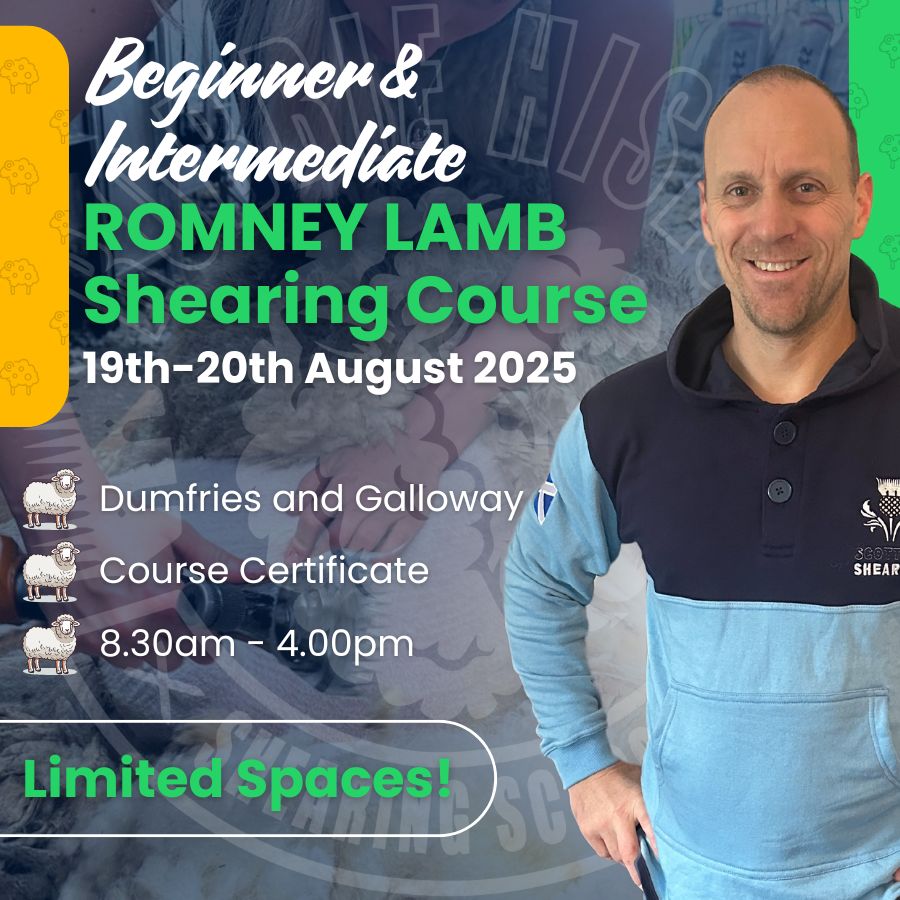 SHEARINGSCHOOL's tweet image. Beginner–intermediate? 

2-day course in Dumfries &amp;amp; Galloway this Aug w/ Robbie Hislop. 

Learn how some shear 200/day. Only 8 spots.

👇
shearingschool.co.uk/product/2-day-… 

#SheepShearingCourse #ShearingTraining #RobbieHislop