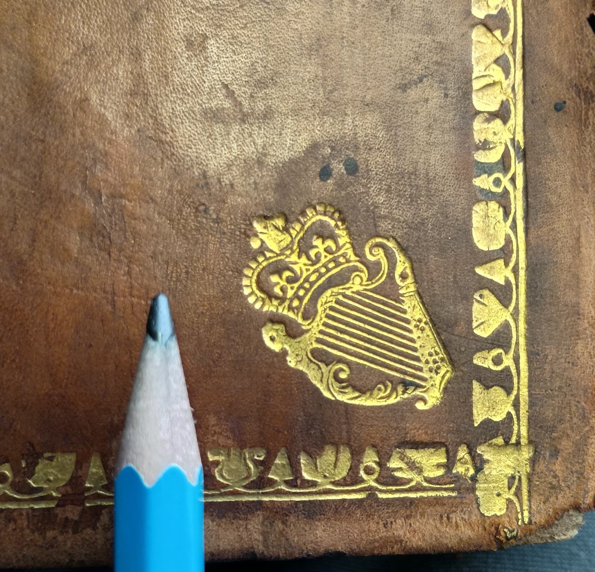 A gold harp on the 18th century binding of the 'Irish Statutes at Large', a compilation of Irish legislation from 1310 to 1800