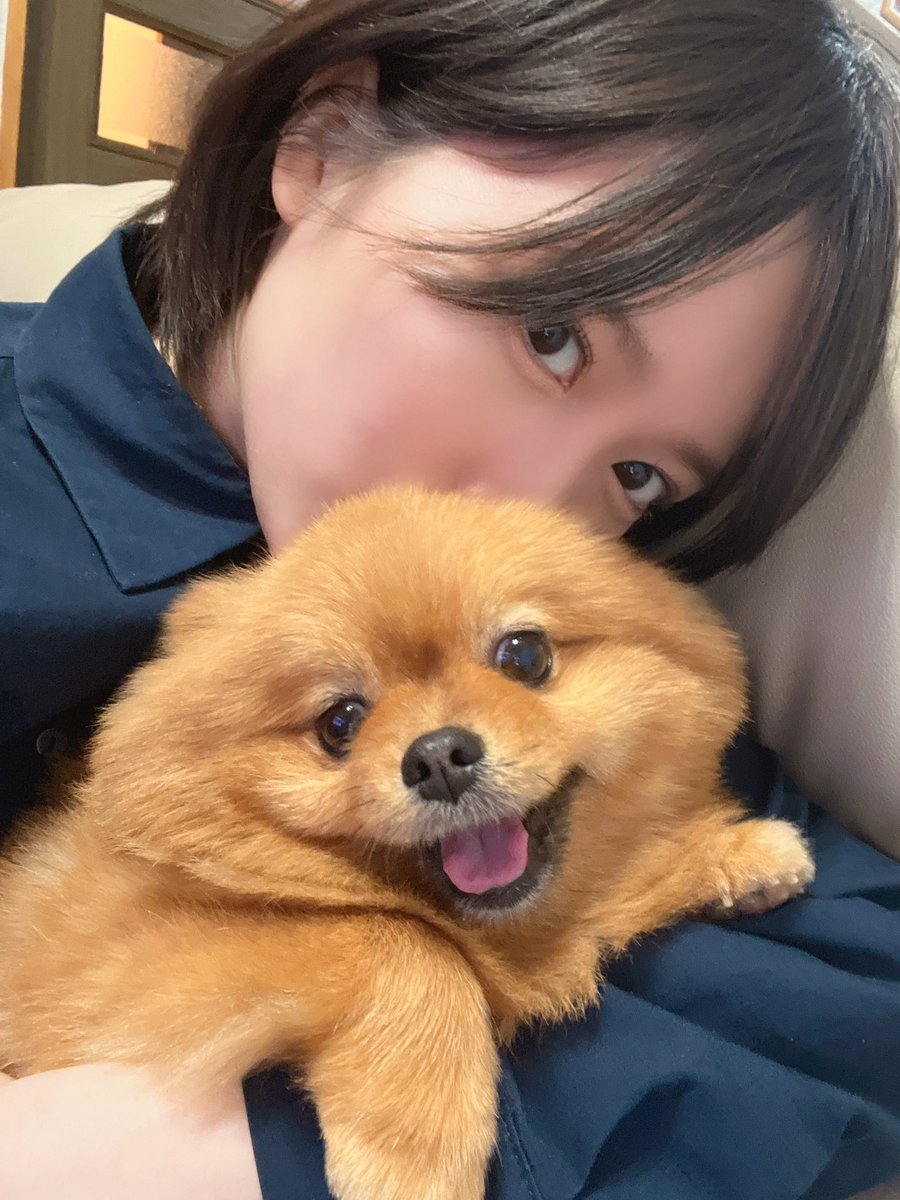 いよいよ、明日( ¨̮ )！
5月31日(土)19:00~
WithLIVE開催します☺︎

テレビ電話のような感じで話せるの1対1のオンライントーク会となっています☺︎
お話ししましょ〜！
よろしくお願いします꒰⍢꒱ ༘*

お申し込みはこちらから。
withlive.jp/cast.html?id=a…