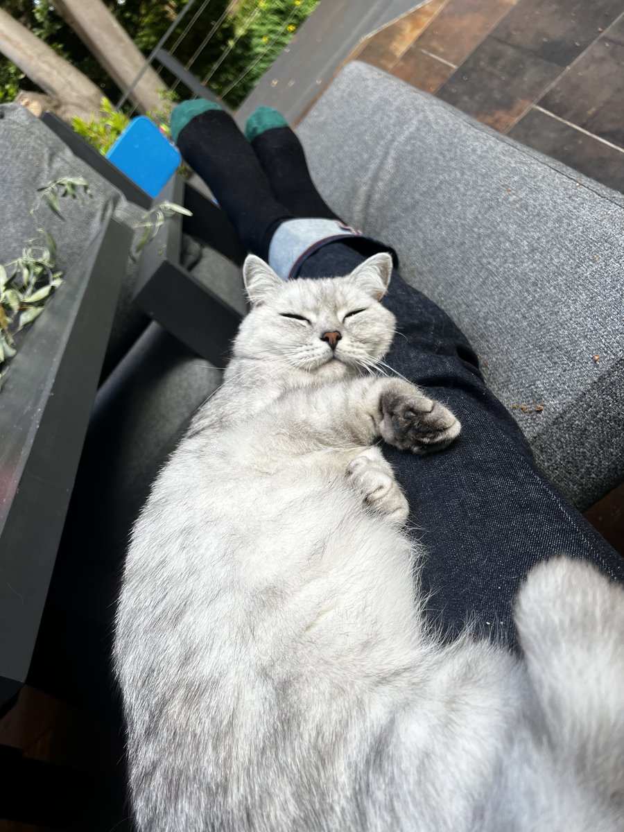 Very happy on dads lap