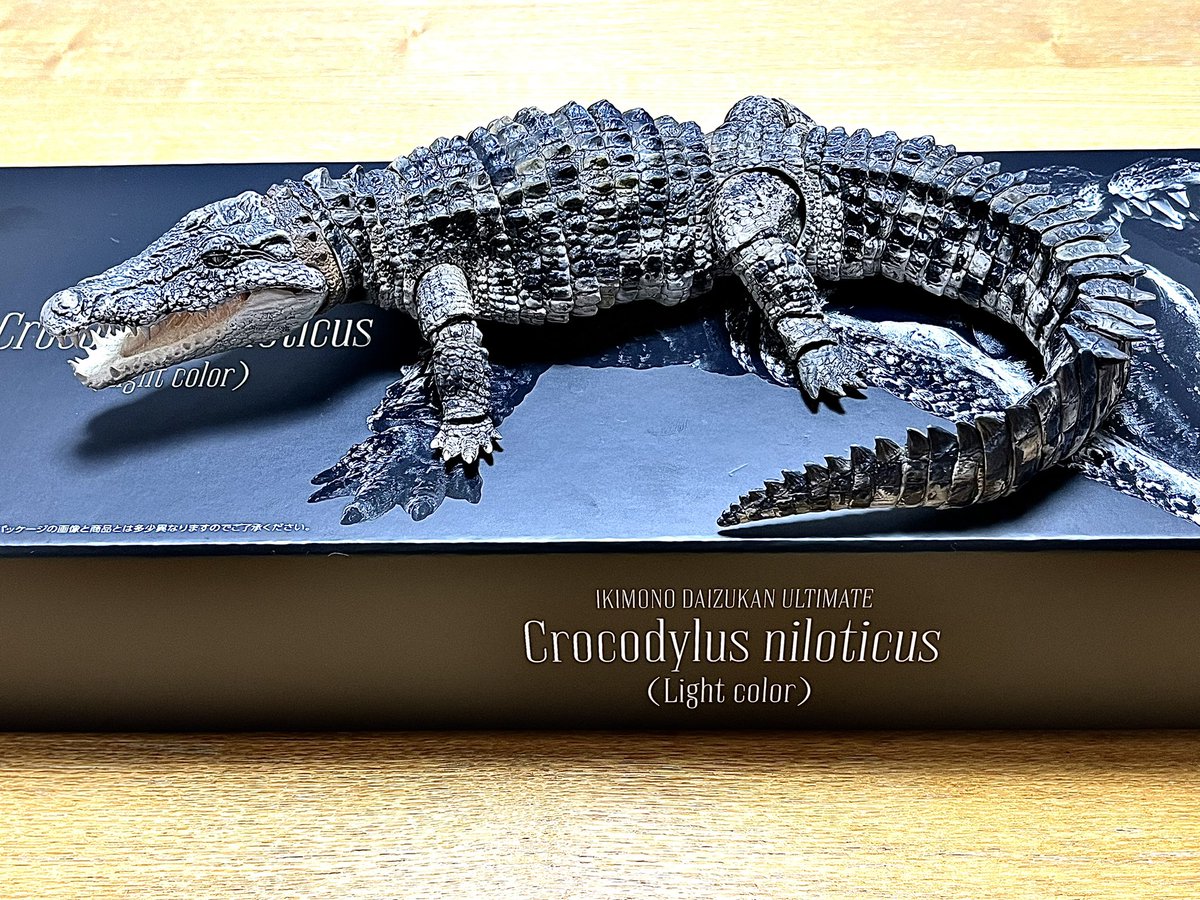予約注文していた、バンダイのナイルワニが届いた〜。
水辺に置いてあったら本物と間違えて腰抜かす程の衝撃的完成度！
竹内しんぜん氏<a href="/shinzen_sl/">SHINZEN　WF/6-06-18</a> が造形を担当された逸品です🐊