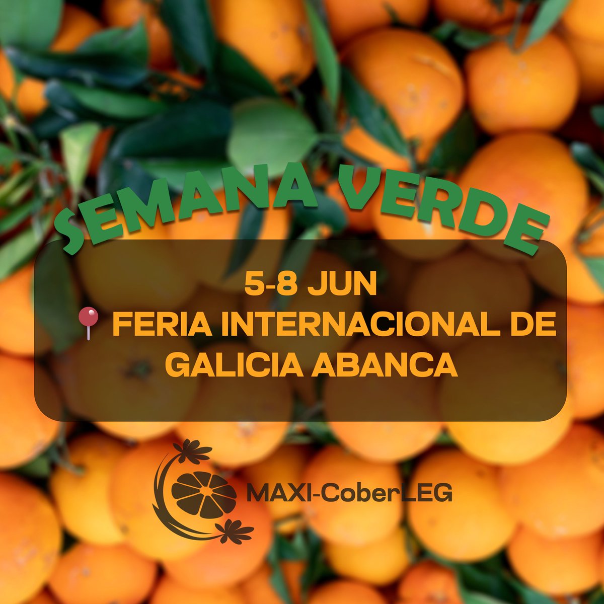 🔜 SILLEDA

📣 MAXI-Coberleg estará en la #SemanaVerde2025 del 5 al 8 de junio, en el stand de @feuga_20

🍊💪 Impulsamos una agricultura mediterránea más sostenible con cultivos de cobertura basados en leguminosas autóctonas. 🌱🌾
¿Quieres saber cómo? Acércate y te lo contamos👀