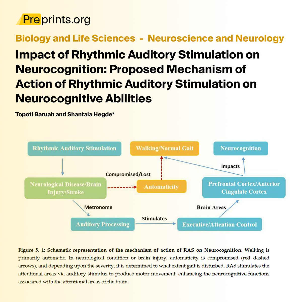 Preprints.org (@preprints_org) on Twitter photo Can rhythm & sound enhance cognition🧠? #Preprint by Topoti Baruah & <a href="/shantala_hegde/">Shantala Hegde</a> preprints.org/manuscript/202… explores how Rhythmic Auditory Stimulation (RAS) impacts neurocognitive abilities! #Preprint #OpenScience #RAS #Neurocognition #BrainScience #Neuroscience Can rhythm & sound enhance cognition🧠? #Preprint by Topoti Baruah & <a href="/shantala_hegde/">Shantala Hegde</a> preprints.org/manuscript/202… explores how Rhythmic Auditory Stimulation (RAS) impacts neurocognitive abilities! #Preprint #OpenScience #RAS #Neurocognition #BrainScience #Neuroscience