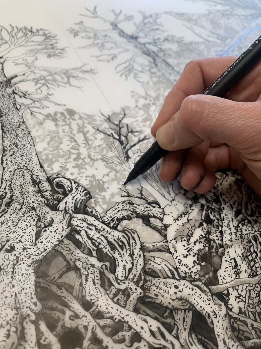 Woke to good news! 
300 Years Later (sold✨🙌🥳)