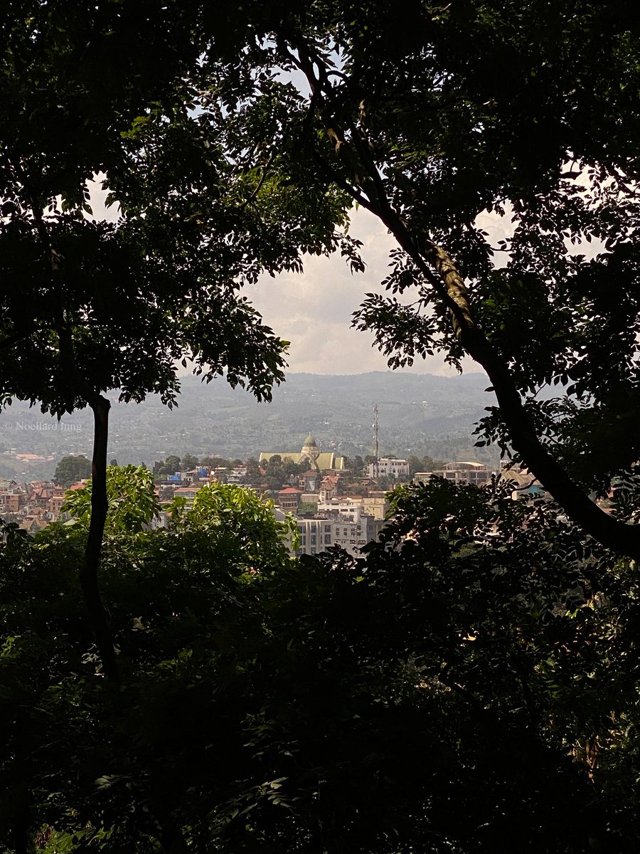 Mngnoellard11's tweet photo. 📍Bukavu
Viewpoint: ISTM
A city high in altitude, vibrant in Colors, Karibu Bukavu 🏞️ #explorercd #Bukavu #photooftheday #landscape #DRCongo #Congo #eastafrica #bukavuexplorer #photographer #congokinshasa @explorer_cd @congotask @CongoToGlobal @JumbaDrc @TourismeRDCongo https://t.co/56nLRpDhqN