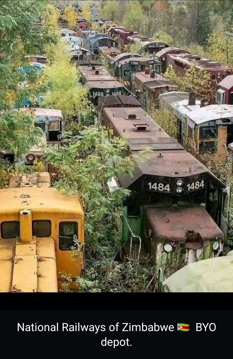 Mhuri Yatambura tweet media