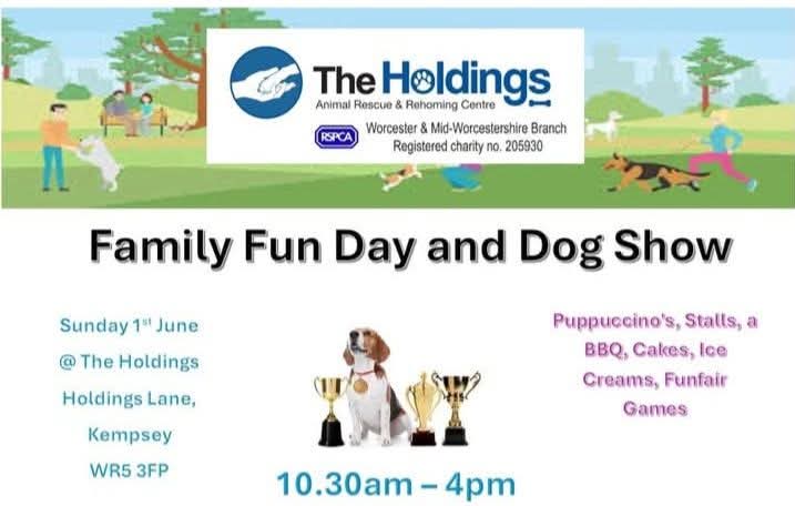 Senior Staffy Club Dog Rescue tweet media