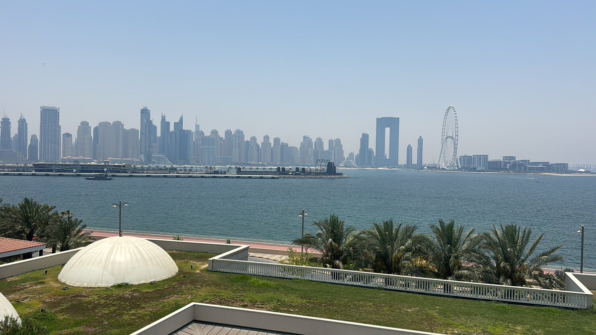 Lee Bandoni tweet media