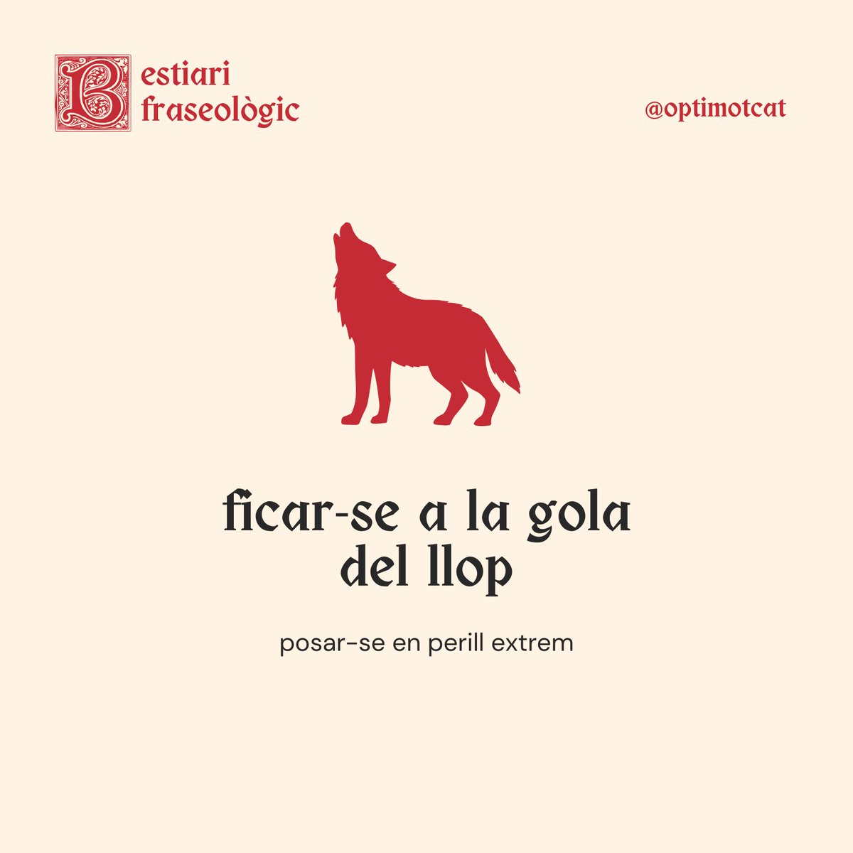 #BestiariFraseològic per menjar-vos millor! 🐺