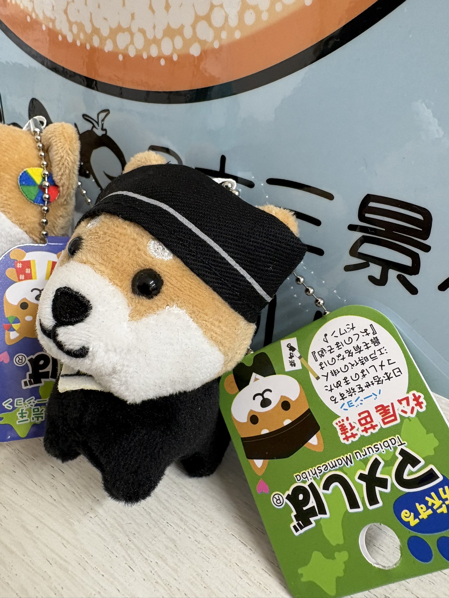 ⭐︎あやや様専用ページ⭐︎ご当地のびねこ他15
