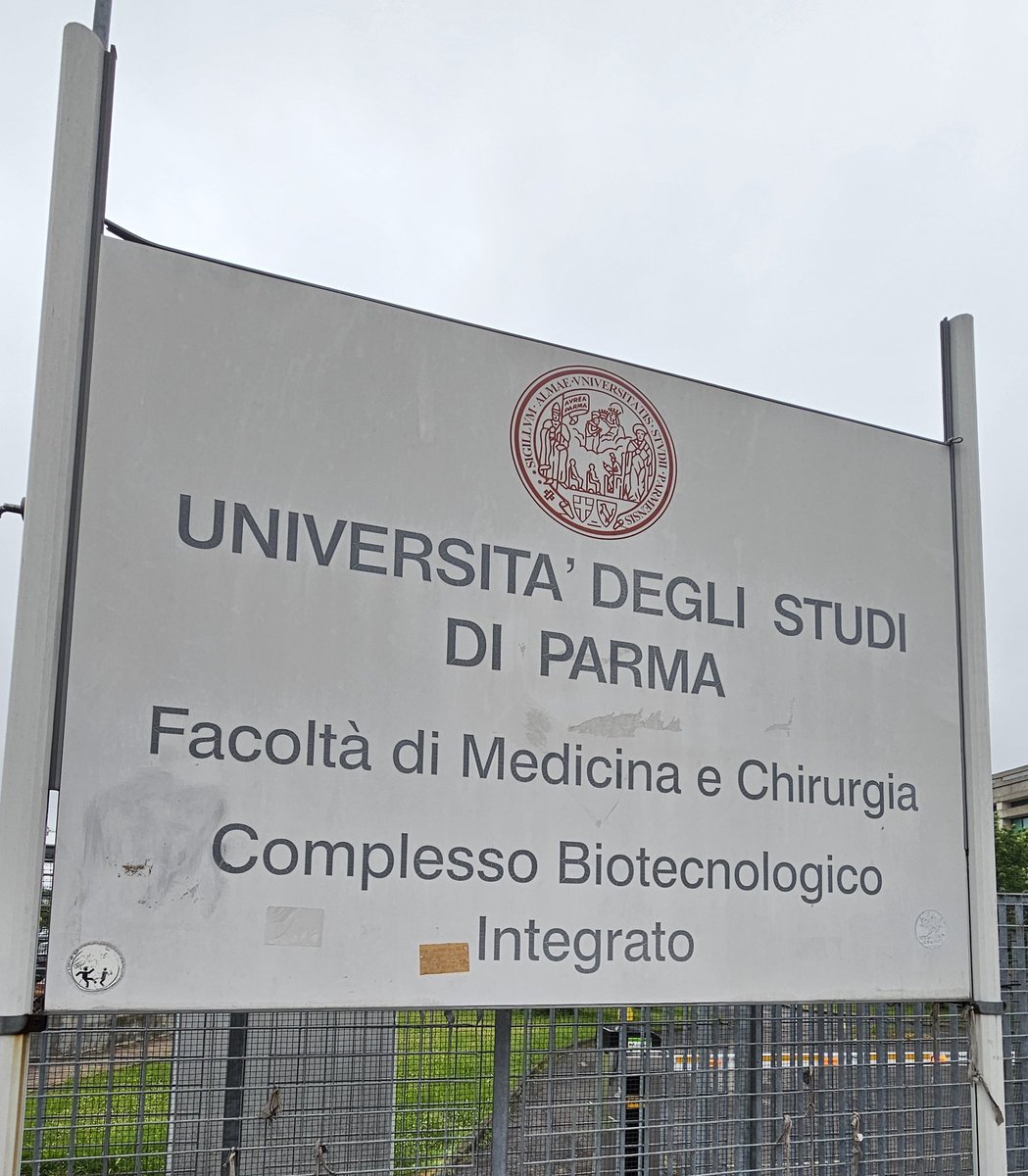 soniagulabrai's tweet photo. Esta semana cumplo un mes de estancia predoctoral en la Universidad de Parma @unipr 🇮����, en concreto, en la Human Nutrition Unit @HNUnipr 🍅🫒, bajo la tutela del Dr. @PMenaParreno 😊. Está siendo una gran oportunidad en un grupo fantástico, ¡he tenido mucha suerte! ✨️ https://t.co/qHrq6qOX7o