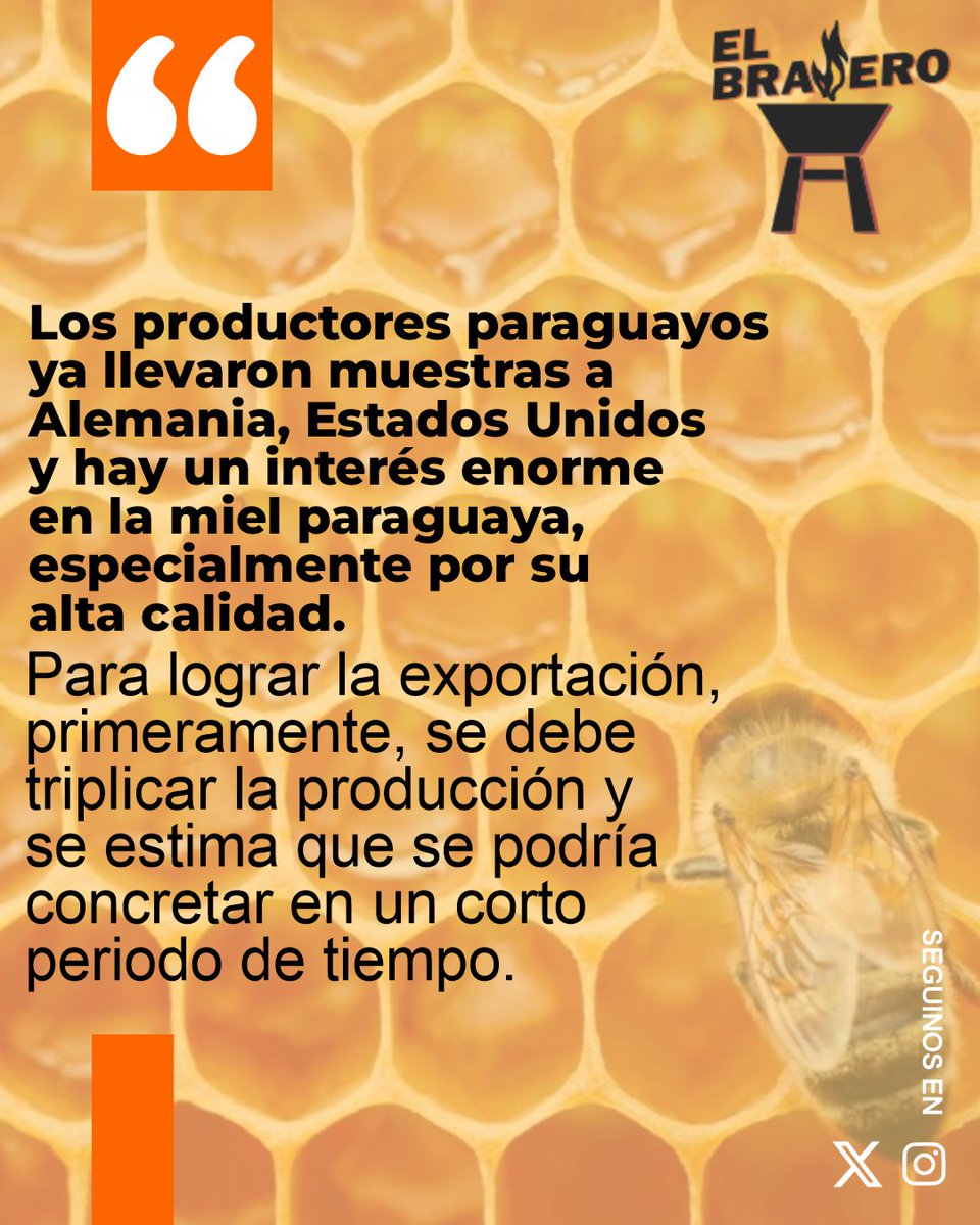 Buscan potenciar la producción de miel y poder exportar