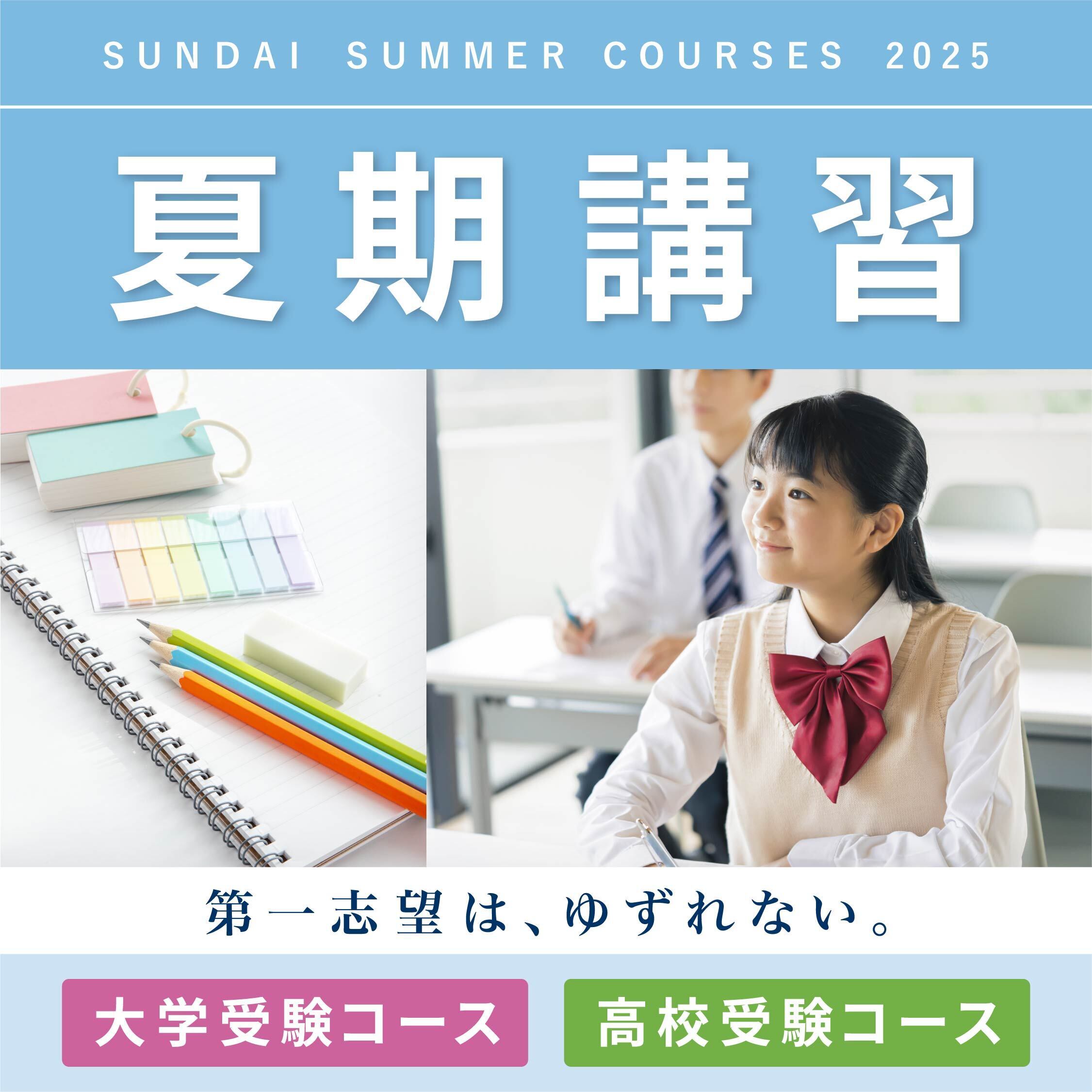 駿台 高3選抜物理 【春期講習、夏期講習込み】