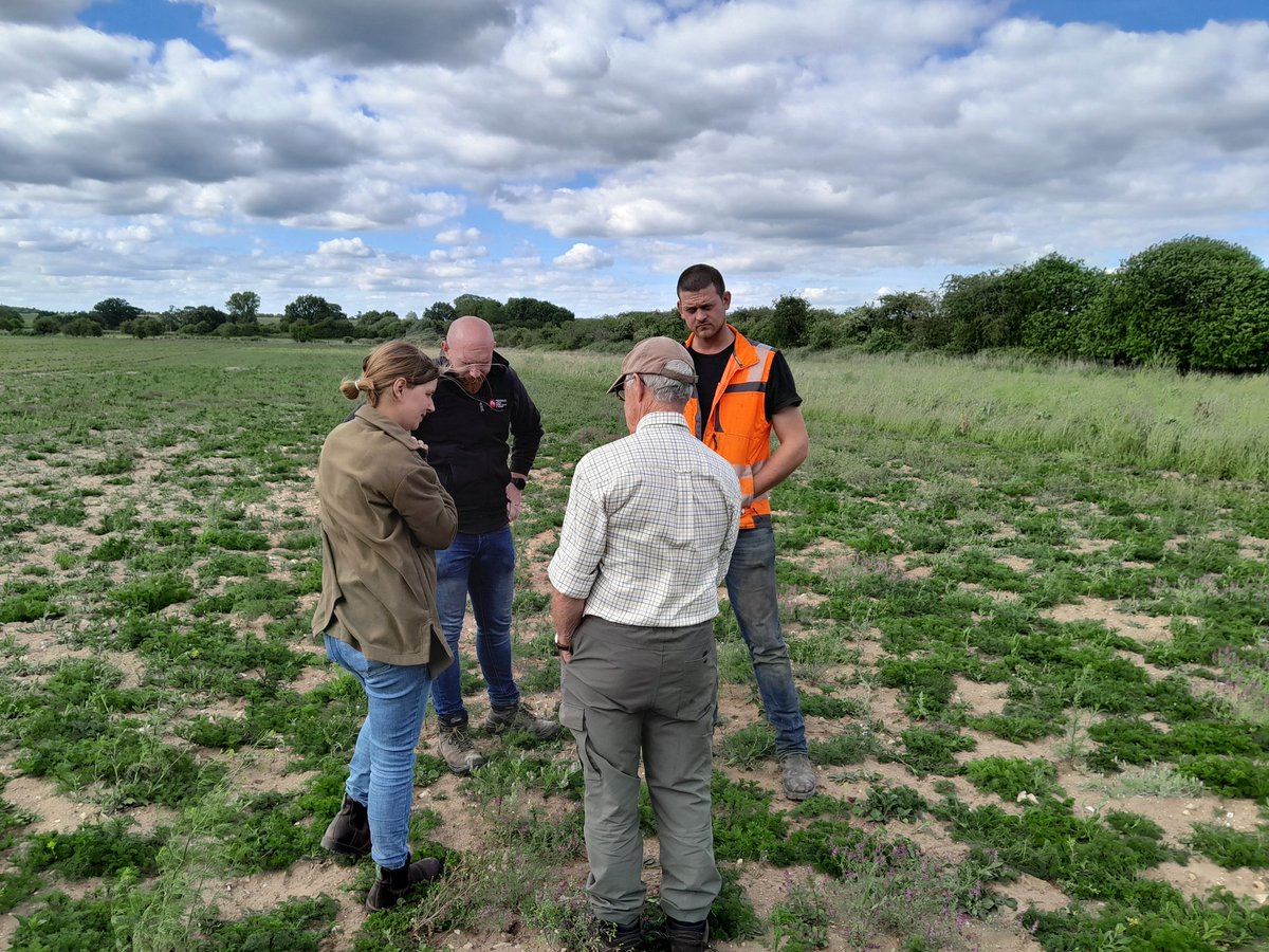 Breckland Farmers Wildlife Network tweet media