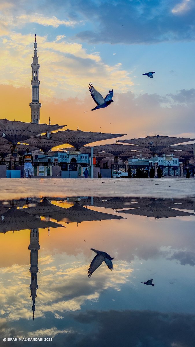 اللهم في هذا اليوم المبارك ارحم امي عدد ماكبر وهلل عبادك، وعدد ما رُفعت الأيادي خاشعه لدعائك 🤲
ربي ان أمــي في ودائعك  فأجعل كل يوم يمر عليها في قبرها أعظم نعيمًا وأجزل عطاءً من الذي يسبقه ..

اللهم ارحمها و جميع موتى المسلمين واجعل قبورهم روضة من رياض الجنه🤲