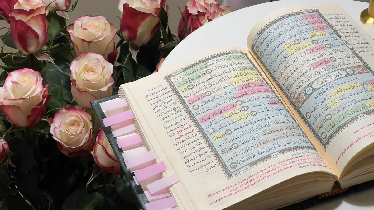 741Norah's tweet photo. " صَلَّى عليكَ اللهُ يَا مَن ذِكرُه
طِبٌّ يُدَاوِي في الفؤادِ كُلُومَا"
اللهمَّ صلِ وسلم على نبينا مُحمد🌱. https://t.co/bm14fuGeLz