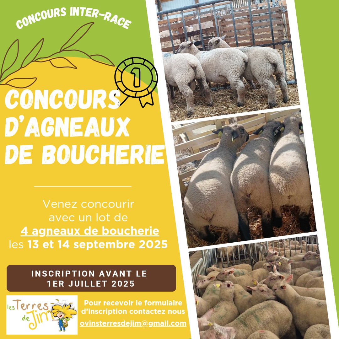 Je suis très heureux de faire parti de l'aventure Terres de Jim avec <a href="/Jeunesagri76/">JeunesAgriculteurs76</a> pour l'orga du pôle #ovin

<a href="/JeunesAgri/">Jeunes Agriculteurs</a> est partenaire historique du programme @inn_ovin 

➡️ réunir les forces pour développer l'élevage ovin sur le territoire

😍 On vous promet de belles choses !