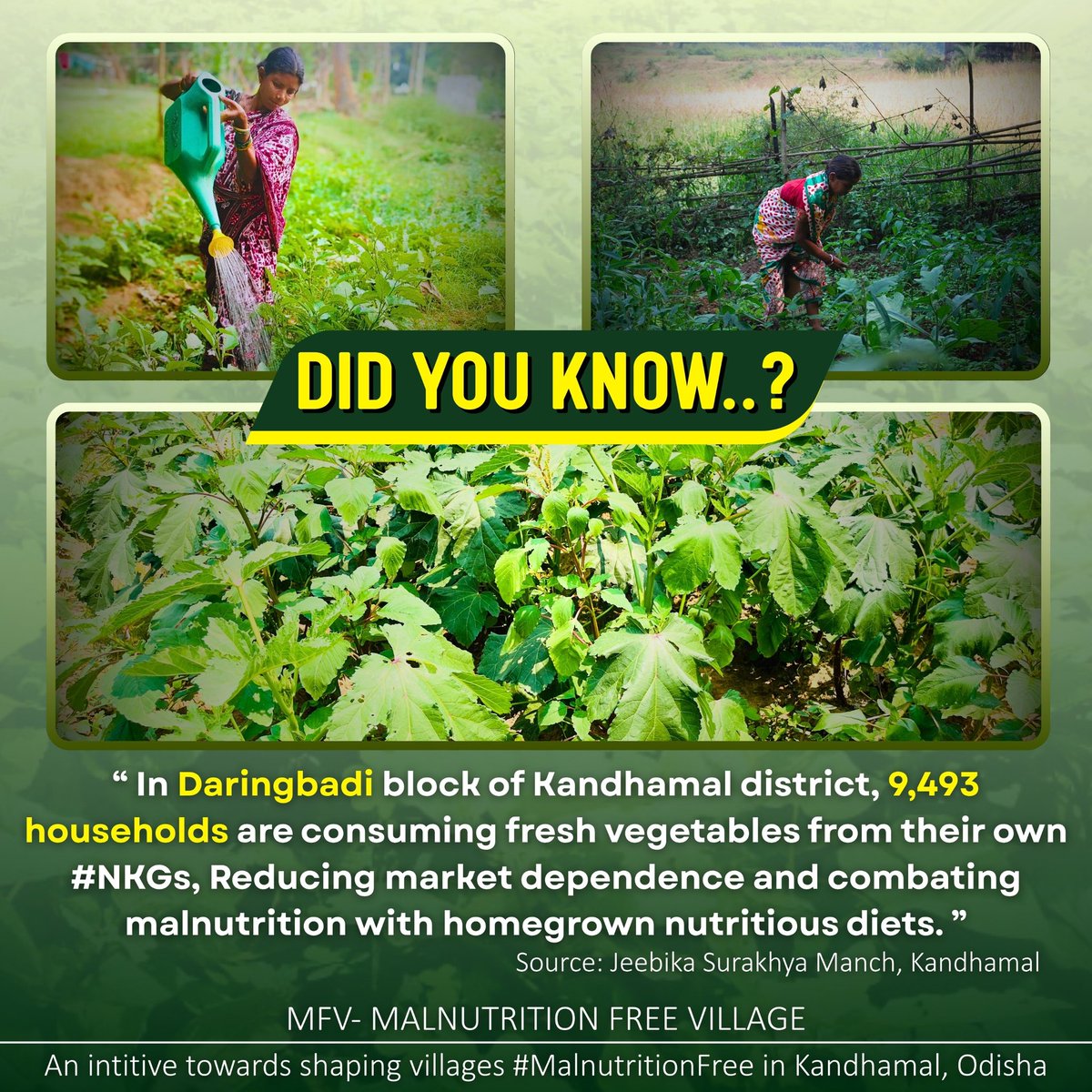 MJSM & JSM Kandhamal (@jsmkandhamal) on Twitter photo #MFV – MALNUTRITION FREE VILLAGE, is truly leading the way towards building #MalnutritionFree villages in Kandhamal!
Dear <a href="/krushibibhag/">କୃଷି ବିଭାଗ, ଓଡ଼ିଶା</a>, these efforts deserve support to include more #Communities in #Odisha.
#NKGs #SupportForNKGs #NutritionForAll #HealthyEating #SDGs #Odisha #MFV – MALNUTRITION FREE VILLAGE, is truly leading the way towards building #MalnutritionFree villages in Kandhamal!
Dear <a href="/krushibibhag/">କୃଷି ବିଭାଗ, ଓଡ଼ିଶା</a>, these efforts deserve support to include more #Communities in #Odisha.
#NKGs #SupportForNKGs #NutritionForAll #HealthyEating #SDGs #Odisha