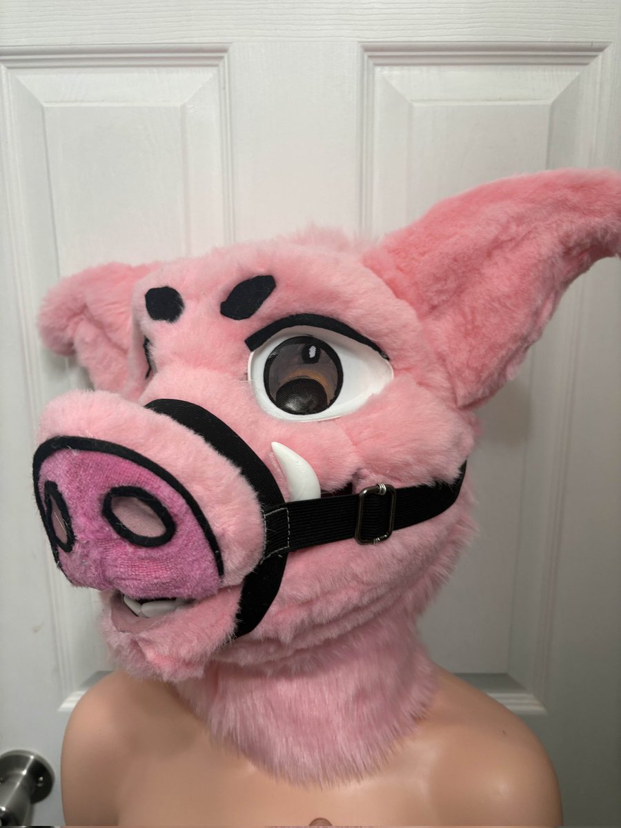 My pigs head comm is finished! I'm in love with how it looks!