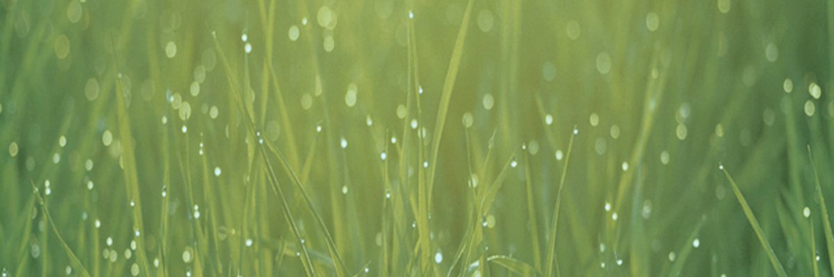 ONEKIN 2025 laguntzak argitaratu dira; elikagaien eta zuraren balio-kateetan digitalizazio, berrikuntza eta ekintzailetzarako proiektuak zehazteko eta ideiak heltzeko prozesuak babesteko.
Proiektuak aurkezteko hilabeteko epea dago.
Info gehiago: euskadi.eus/bopv2/datos/20…