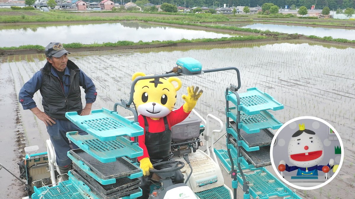明日の放送は📺
【カンガルーはどこに行ったのか】
#打首獄門同好会 としまじろうくんのコラボ楽曲👯‍♀️
イラストは「パップコーン」 #芦沢ムネト さん👏

#打首獄門同好会 さんとしまじろうくんのコラボTシャツも販売中です✨

uchikubigoods.com/products/uc-08…

【のうぎょうのわお！】