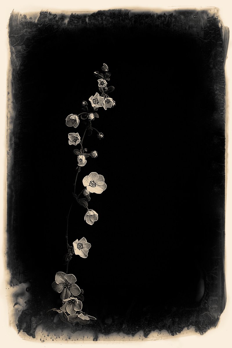 Shuichi Machimoto 町本修一。 (@machimoto19801) on Twitter photo 