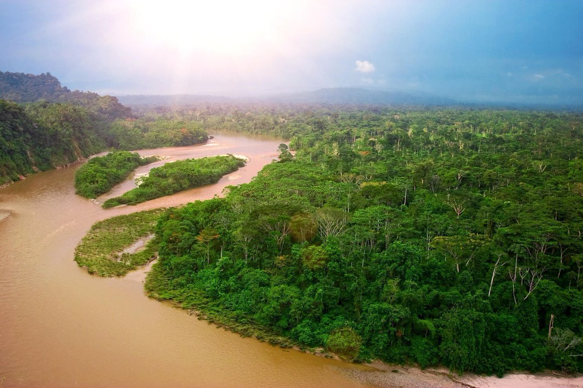 Carbon Brief (@carbonbrief) on Twitter photo 'Significant’ risk of Amazon forest dieback if global warming overshoots 1.5C | <a href="/AyeshaTandon/">Ayesha Tandon</a> w/ comment from Gregory Munday, Nico Wunderling <a href="/dvdmckay/">David A. McKay (@davidamckay@mstdn.social)</a> David Lapola <a href="/chrisd_jones/">Chris Jones</a>
Read here: buff.ly/Fy6OUBm 'Significant’ risk of Amazon forest dieback if global warming overshoots 1.5C | <a href="/AyeshaTandon/">Ayesha Tandon</a> w/ comment from Gregory Munday, Nico Wunderling <a href="/dvdmckay/">David A. McKay (@davidamckay@mstdn.social)</a> David Lapola <a href="/chrisd_jones/">Chris Jones</a>
Read here: buff.ly/Fy6OUBm