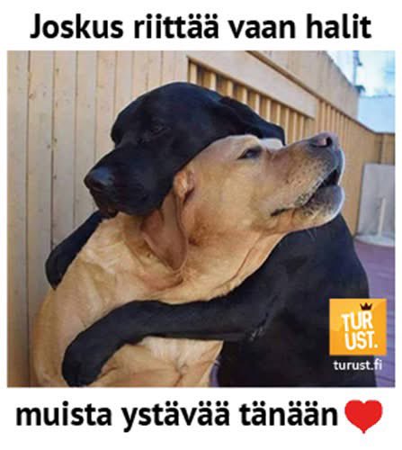 Sari_Kontio's tweet photo. Halaus💕 https://t.co/OXjpKQOMrH