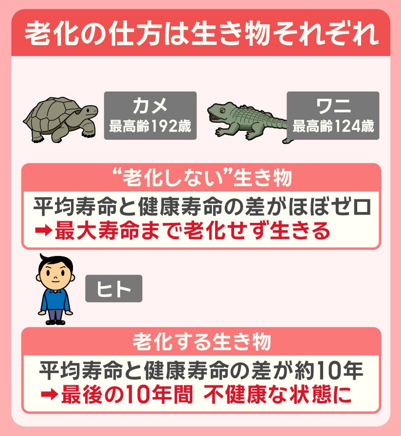 羽鳥慎一モーニングショー on X: 