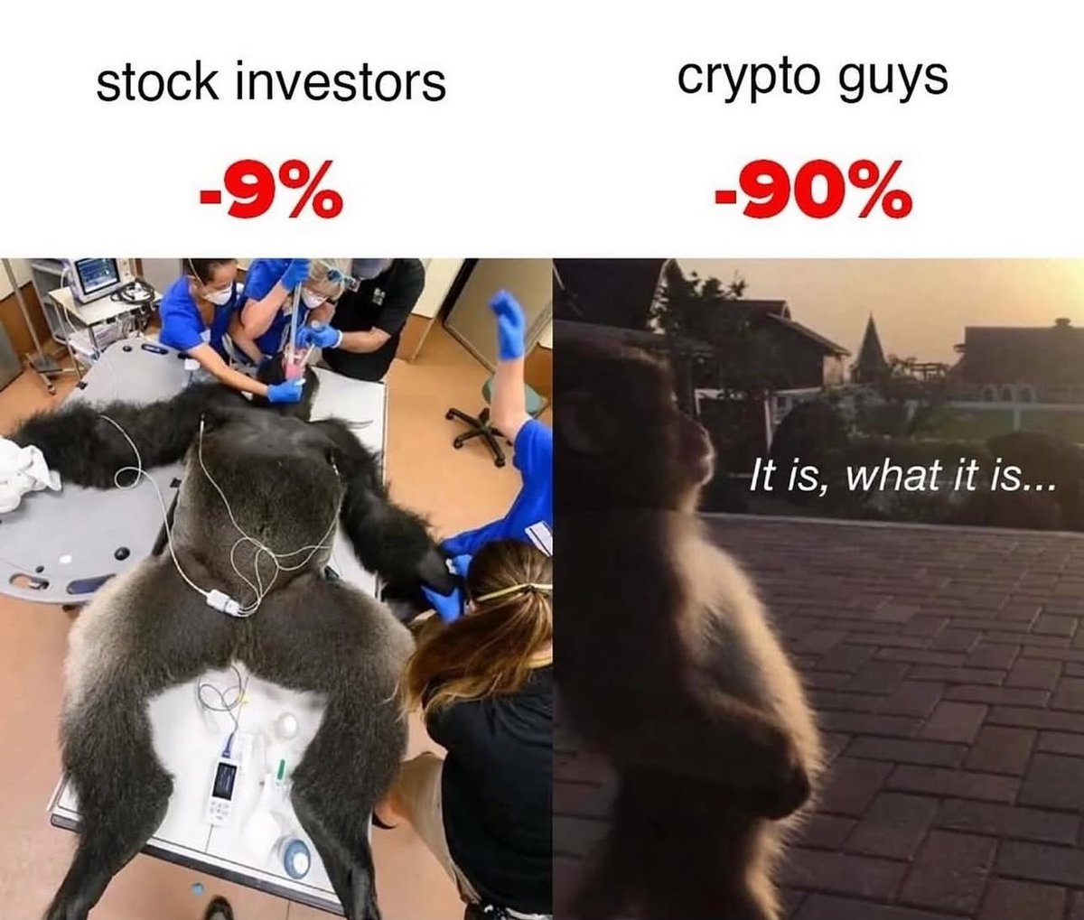 Jeremybtc's tweet photo. just a minor dip https://t.co/o5HVqrkxqj